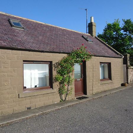 Myrtle Cottage Johnshaven Exterior foto