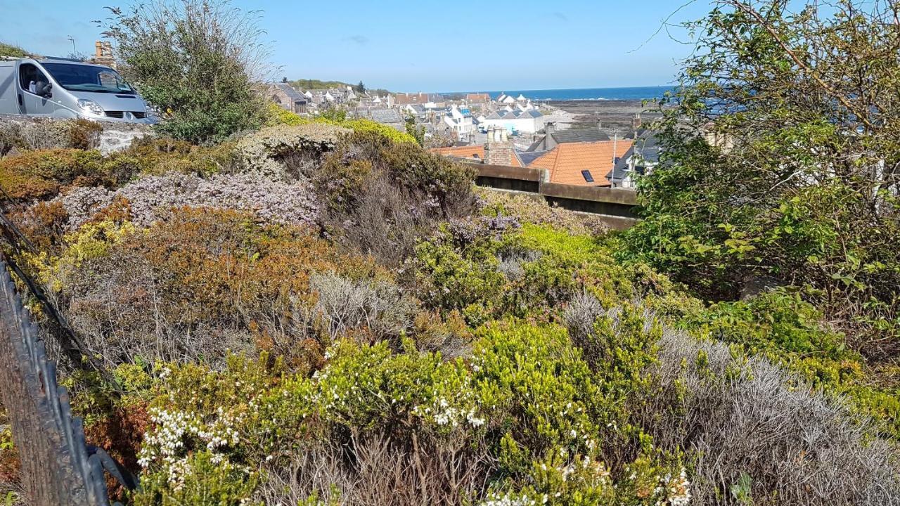 Myrtle Cottage Johnshaven Exterior foto